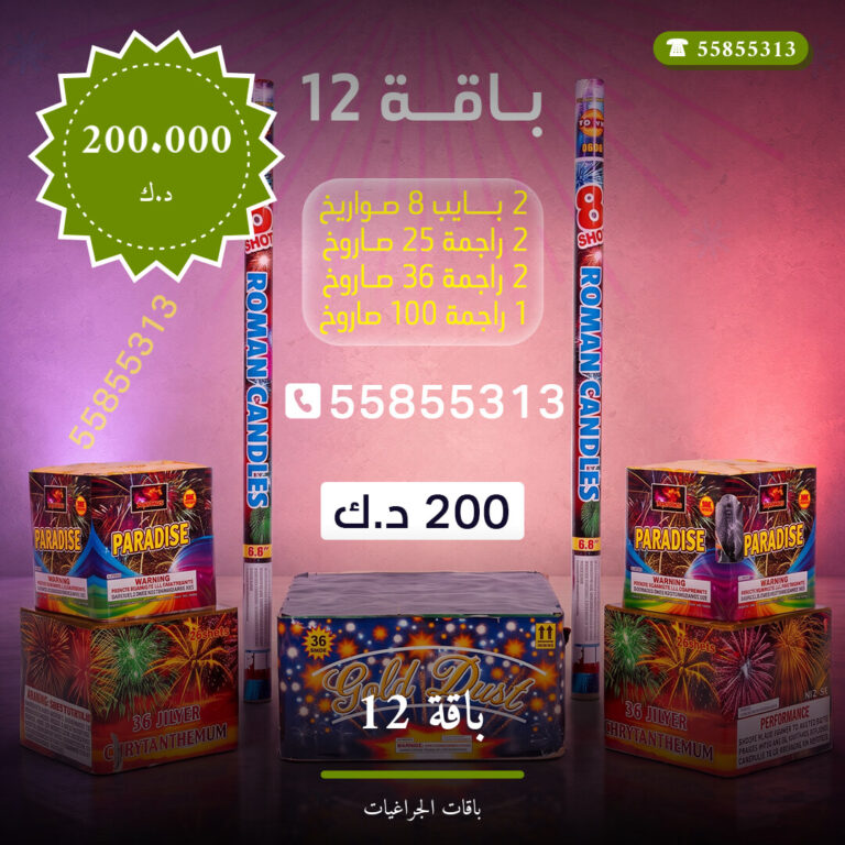 دليل باقة 12: كل ما تحتاج معرفته قبل الطلب