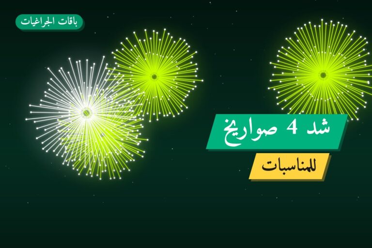 شد 4 صواريخ: السعر والمواصفات الكاملة