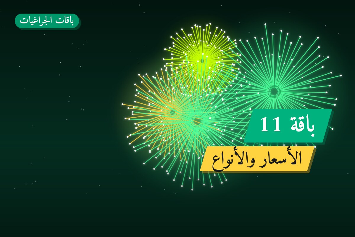 دليل باقة 11: كل ما تحتاج معرفته قبل الطلب